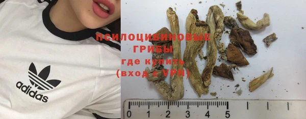 спайс Липки
