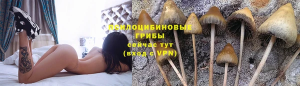 MDMA Лихославль