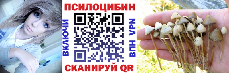 дарнет шоп  Дмитриев  Псилоцибиновые грибы MAGIC MUSHROOMS 